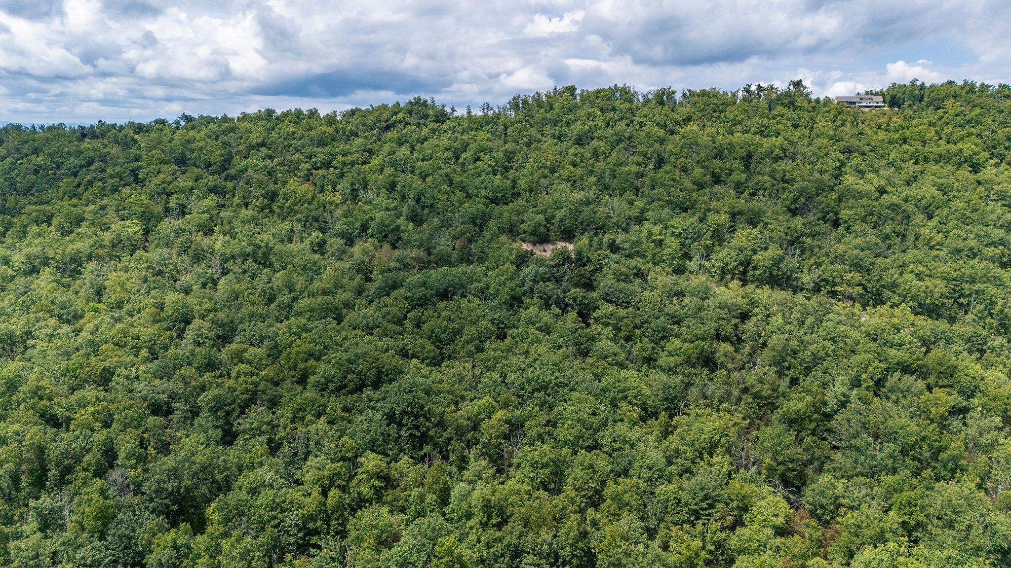 TBD FOX RUN LN, WAYNESBORO, Virginia 22980, ,Land,TBD FOX RUN LN,667893 MLS # 667893
