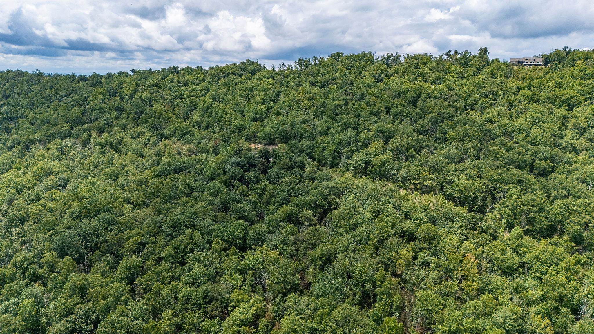 TBD FOX RUN LN, WAYNESBORO, Virginia 22980, ,Land,TBD FOX RUN LN,667893 MLS # 667893