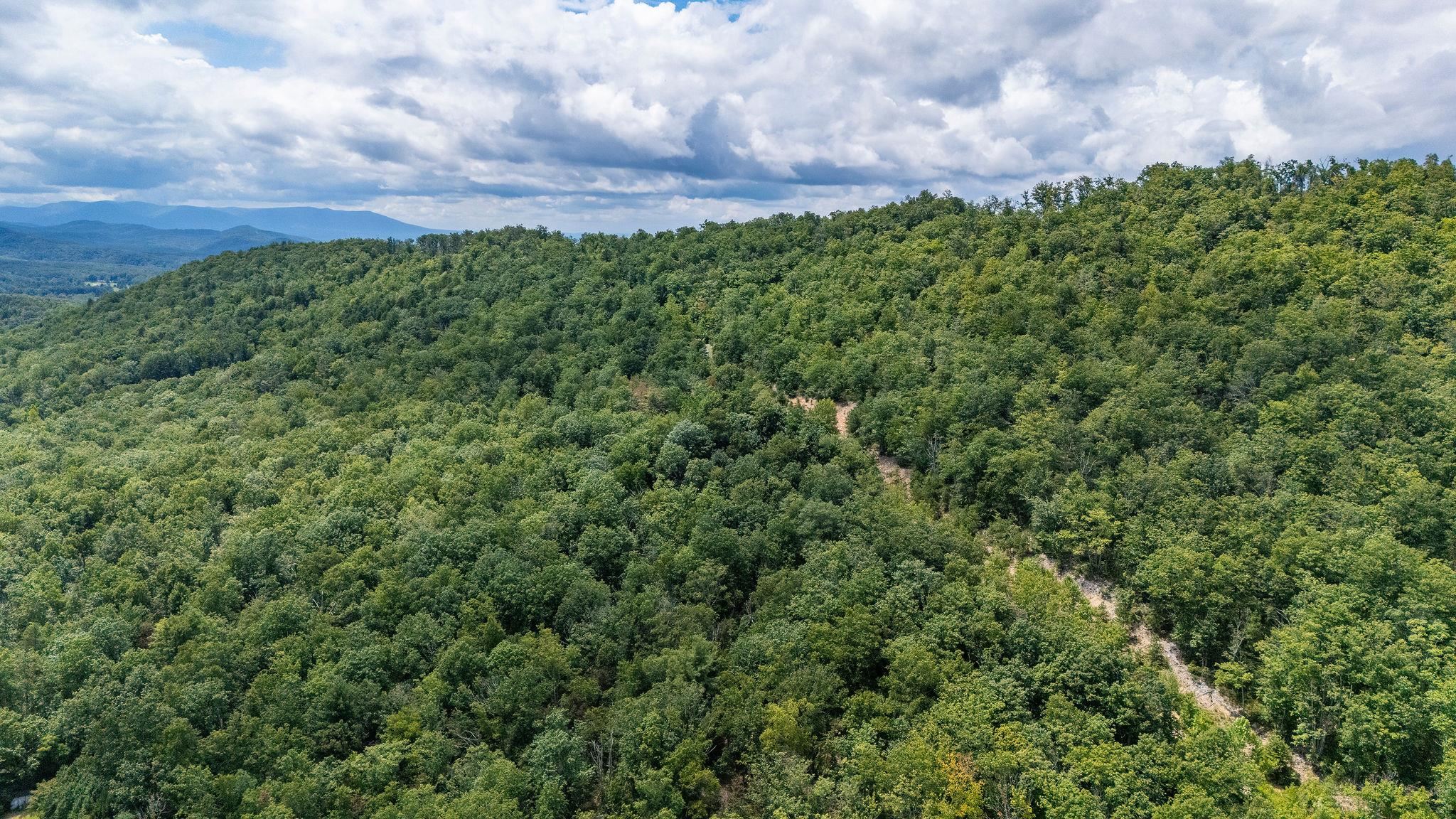 TBD FOX RUN LN, WAYNESBORO, Virginia 22980, ,Land,TBD FOX RUN LN,667893 MLS # 667893