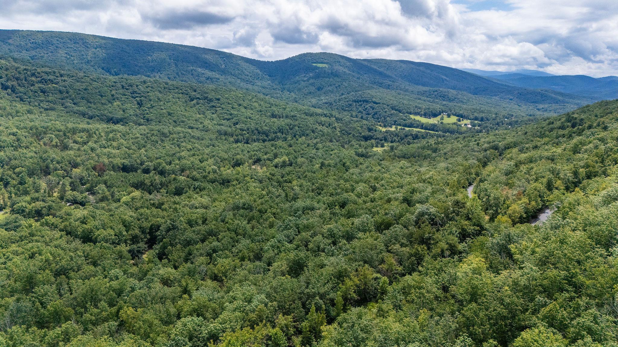 TBD FOX RUN LN, WAYNESBORO, Virginia 22980, ,Land,TBD FOX RUN LN,667893 MLS # 667893