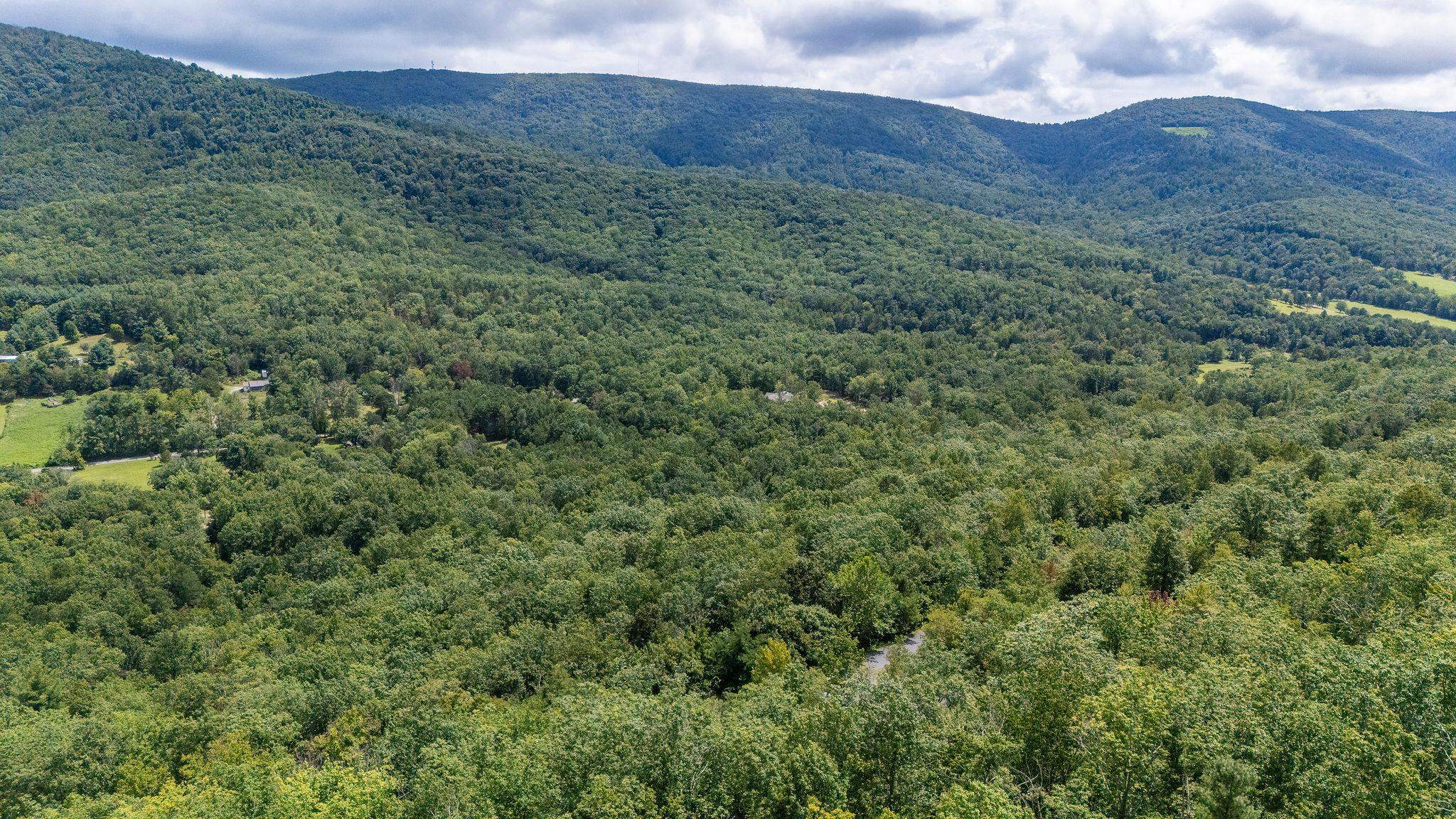 TBD FOX RUN LN, WAYNESBORO, Virginia 22980, ,Land,TBD FOX RUN LN,667893 MLS # 667893