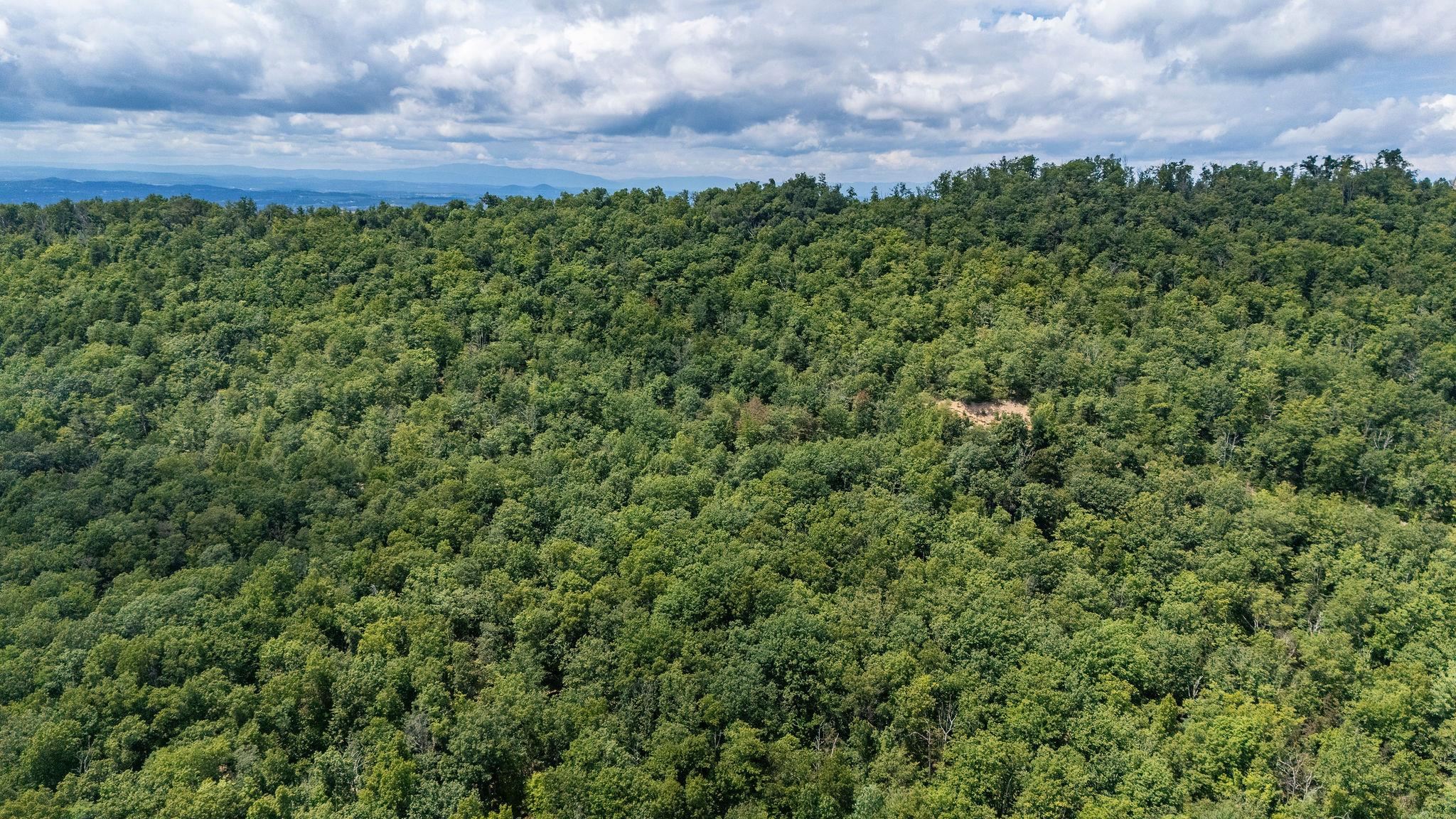 TBD FOX RUN LN, WAYNESBORO, Virginia 22980, ,Land,TBD FOX RUN LN,667893 MLS # 667893