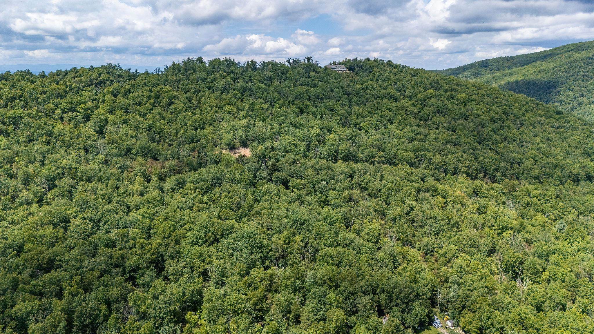 TBD FOX RUN LN, WAYNESBORO, Virginia 22980, ,Land,TBD FOX RUN LN,667893 MLS # 667893