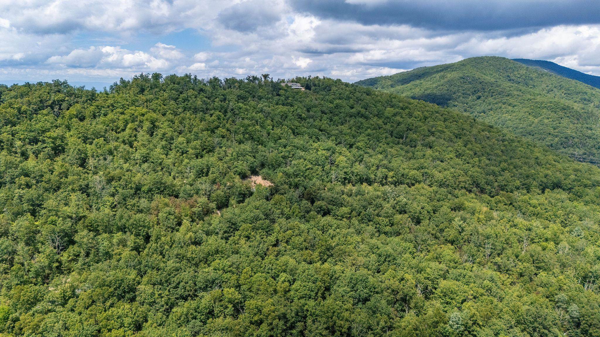 TBD FOX RUN LN, WAYNESBORO, Virginia 22980, ,Land,TBD FOX RUN LN,667893 MLS # 667893