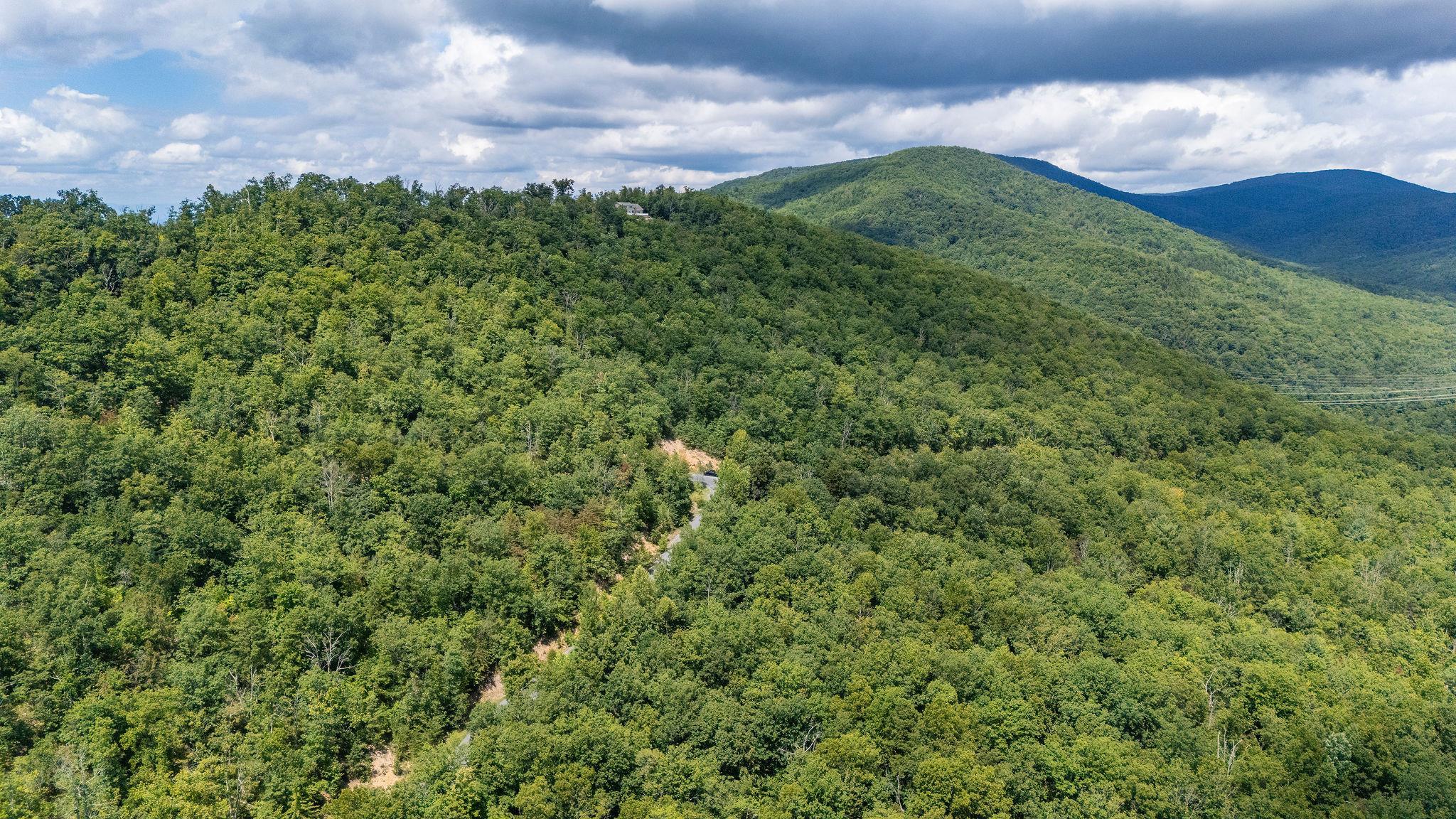 TBD FOX RUN LN, WAYNESBORO, Virginia 22980, ,Land,TBD FOX RUN LN,667893 MLS # 667893