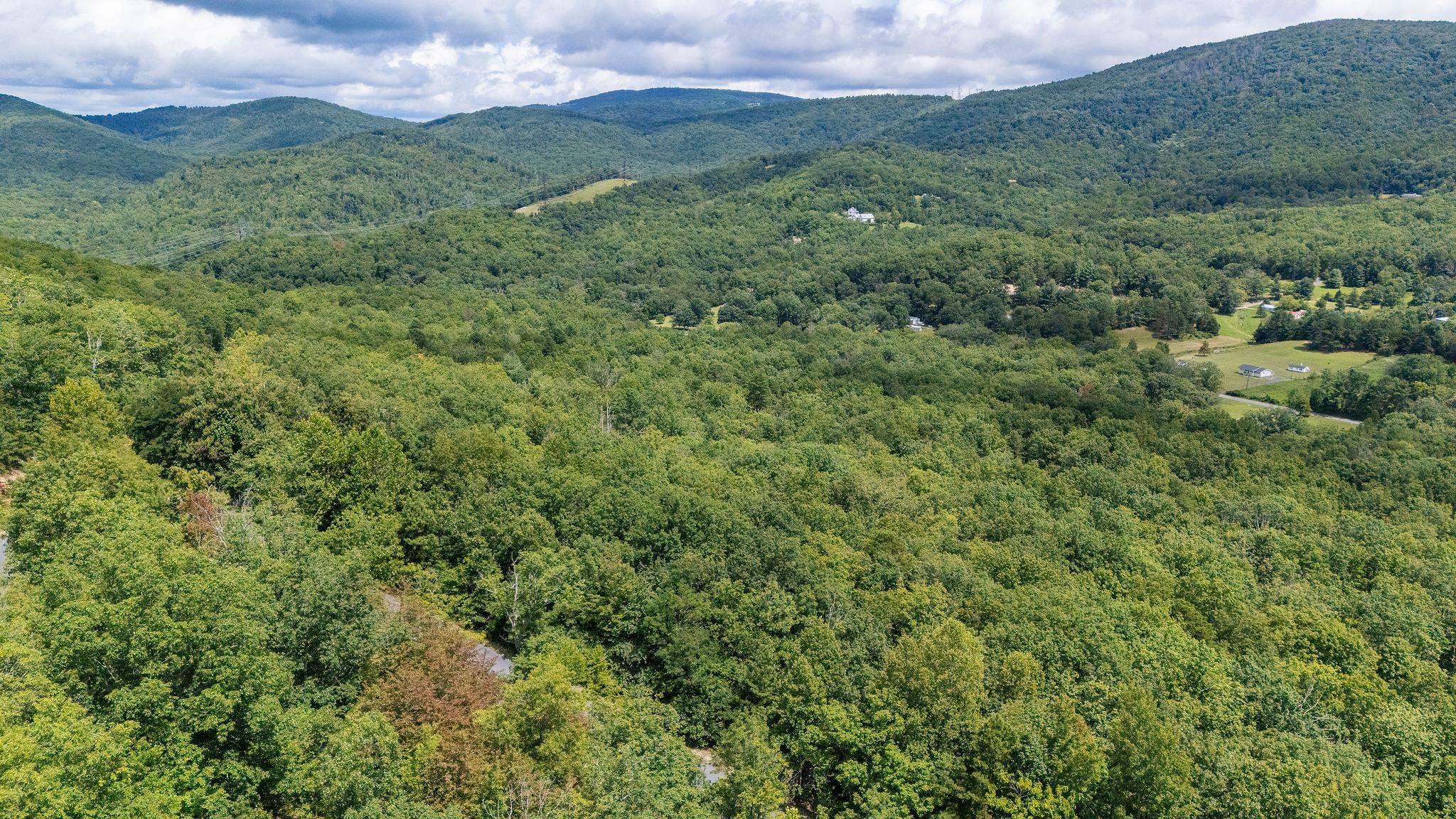 TBD FOX RUN LN, WAYNESBORO, Virginia 22980, ,Land,TBD FOX RUN LN,667893 MLS # 667893