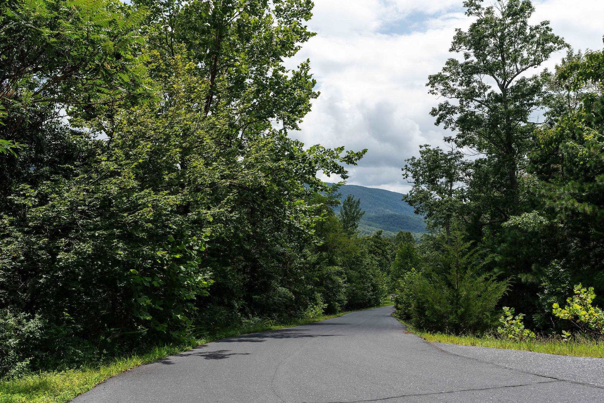TBD FOX RUN LN, WAYNESBORO, Virginia 22980, ,Land,TBD FOX RUN LN,667893 MLS # 667893
