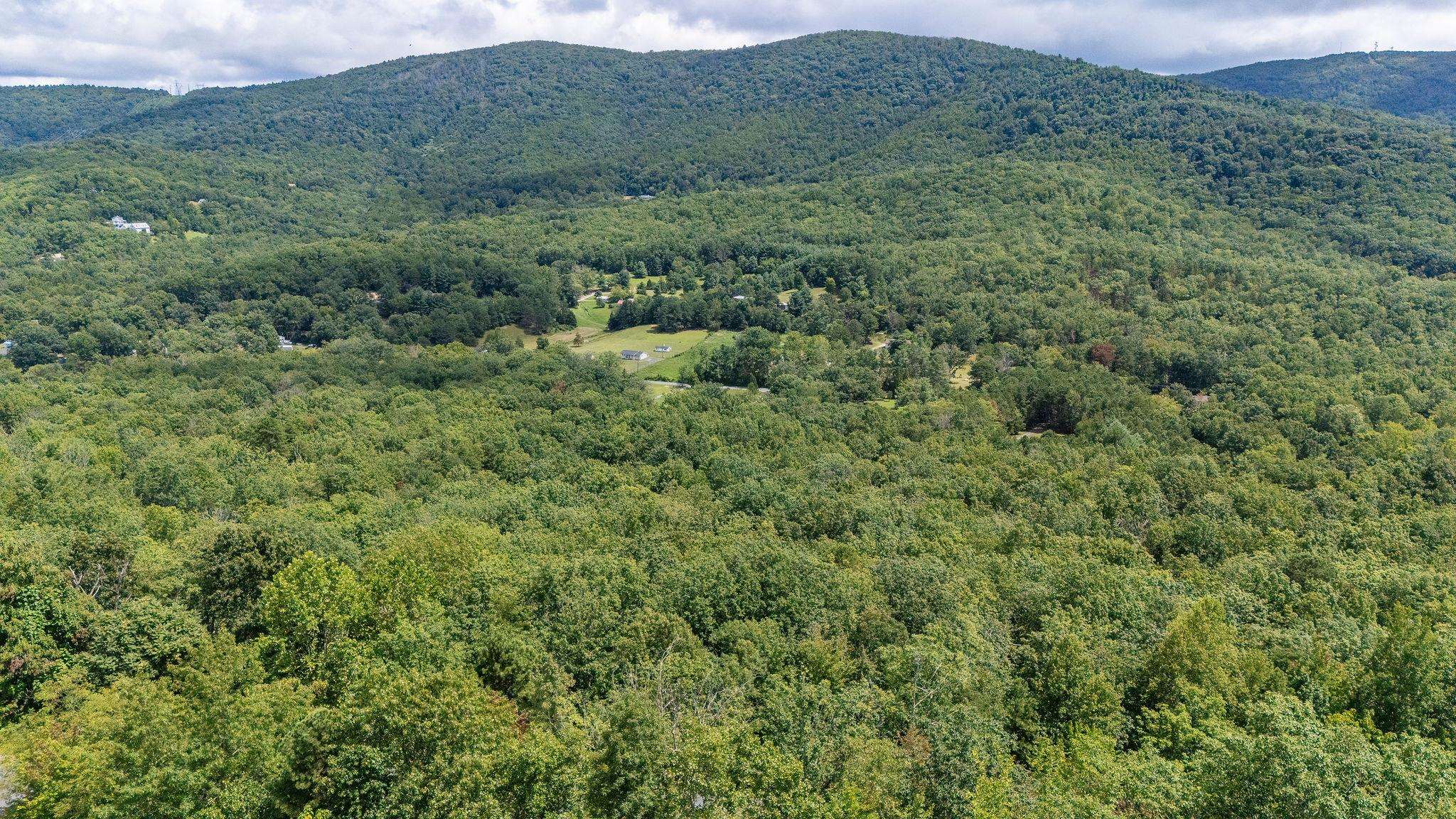 TBD FOX RUN LN, WAYNESBORO, Virginia 22980, ,Land,TBD FOX RUN LN,667893 MLS # 667893