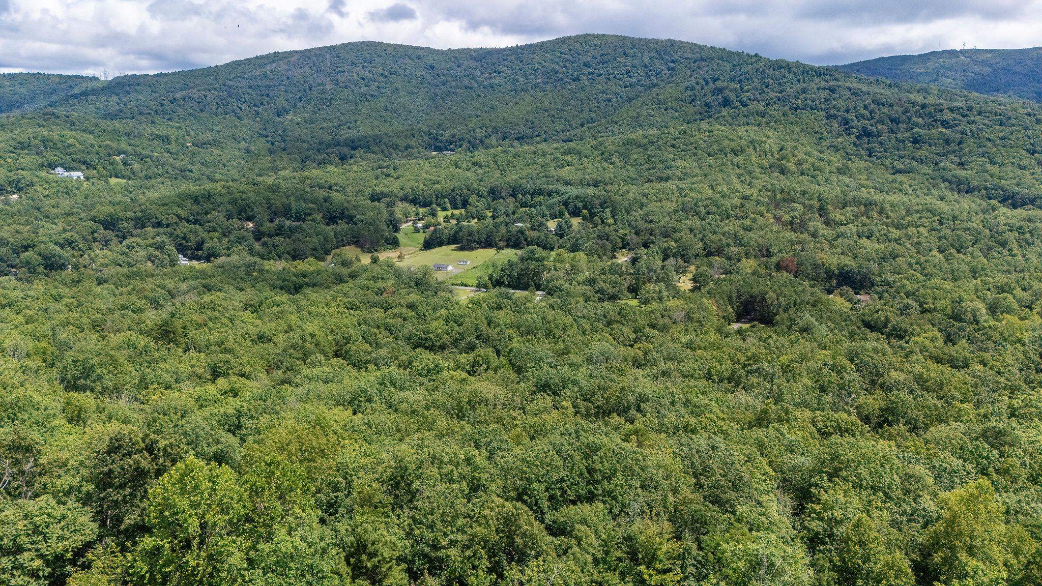 TBD FOX RUN LN, WAYNESBORO, Virginia 22980, ,Land,TBD FOX RUN LN,667893 MLS # 667893
