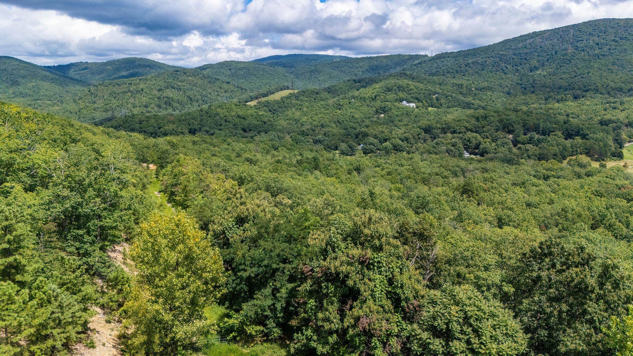 TBD FOX RUN LN, WAYNESBORO, Virginia 22980, ,Land,TBD FOX RUN LN,667893 MLS # 667893