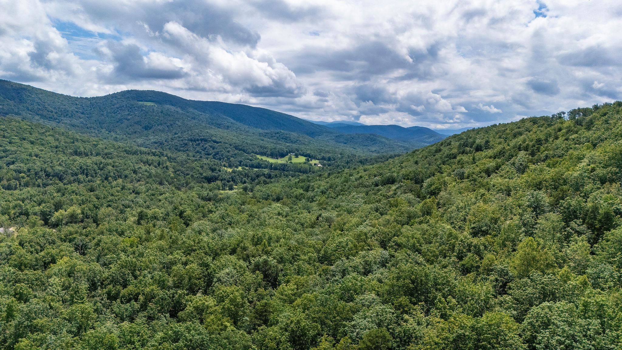 TBD FOX RUN LN, WAYNESBORO, Virginia 22980, ,Land,TBD FOX RUN LN,667893 MLS # 667893