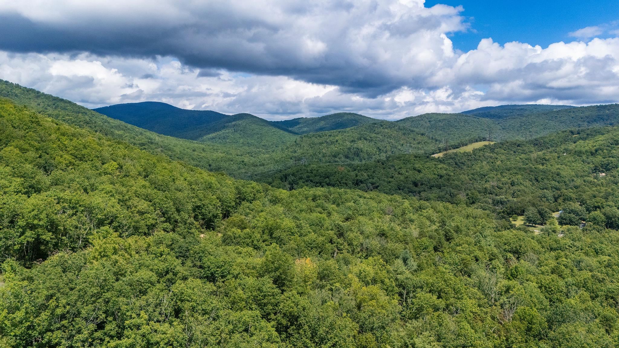 TBD FOX RUN LN, WAYNESBORO, Virginia 22980, ,Land,TBD FOX RUN LN,667893 MLS # 667893