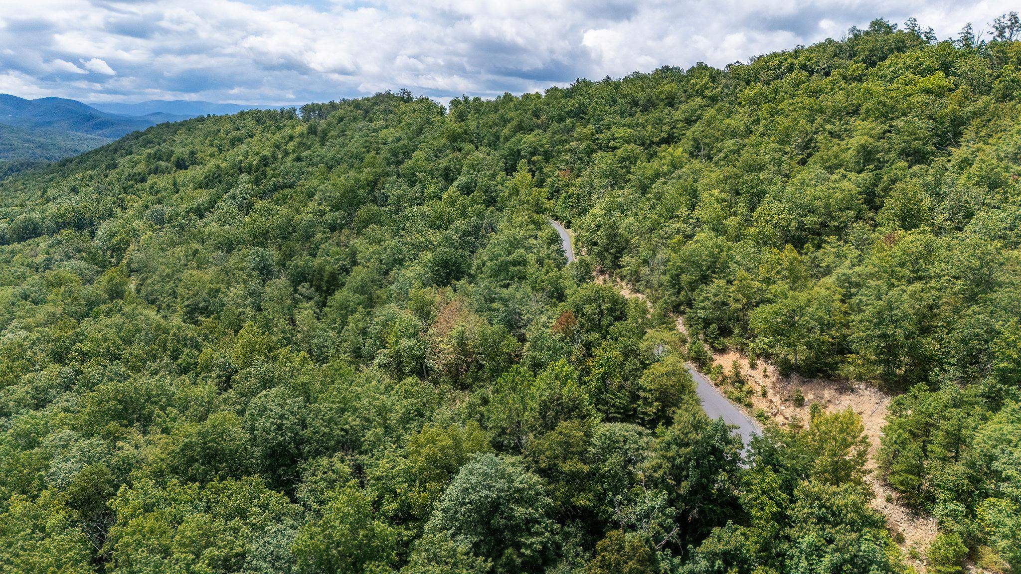 TBD FOX RUN LN, WAYNESBORO, Virginia 22980, ,Land,TBD FOX RUN LN,667893 MLS # 667893