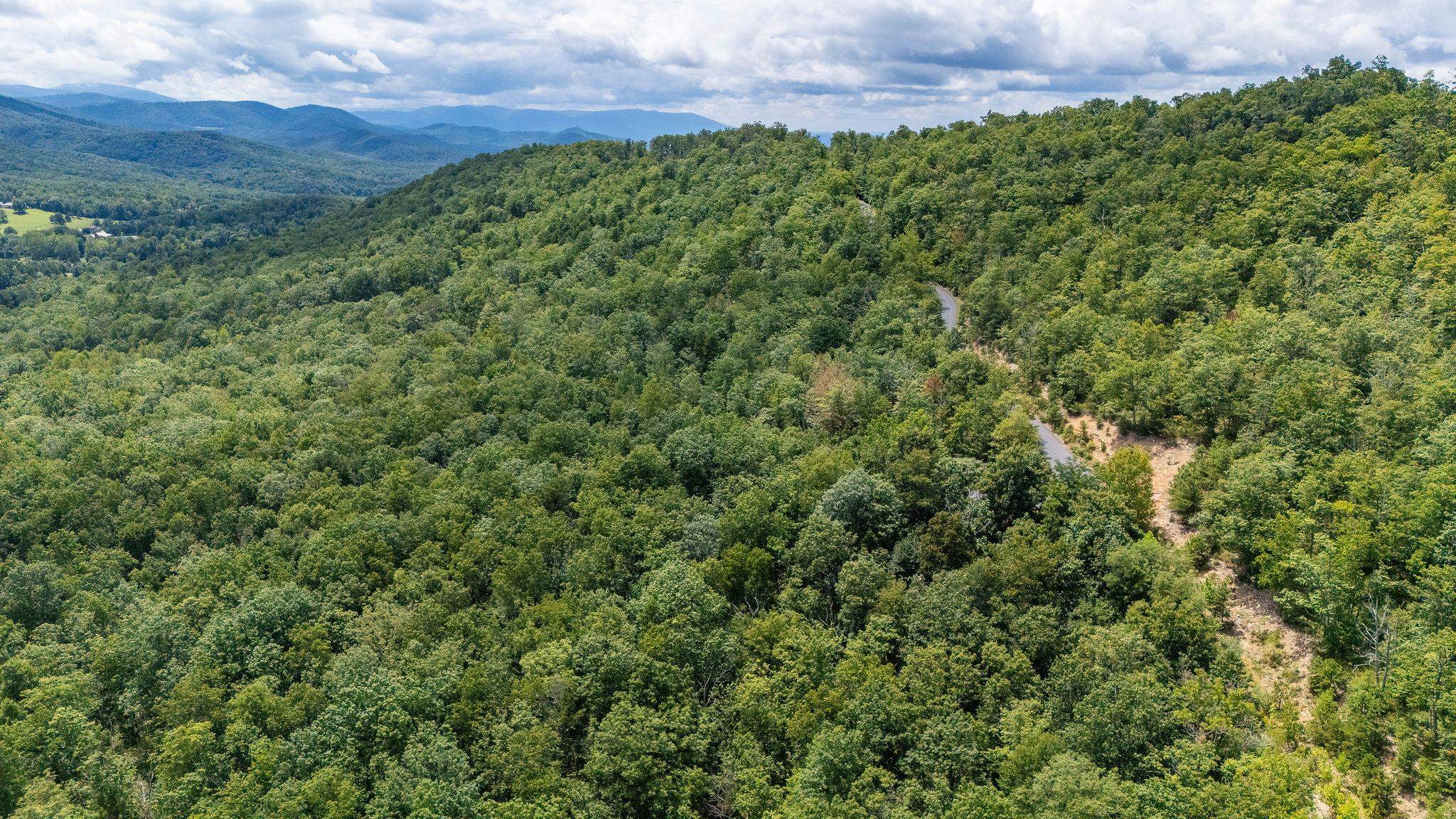 TBD FOX RUN LN, WAYNESBORO, Virginia 22980, ,Land,TBD FOX RUN LN,667893 MLS # 667893
