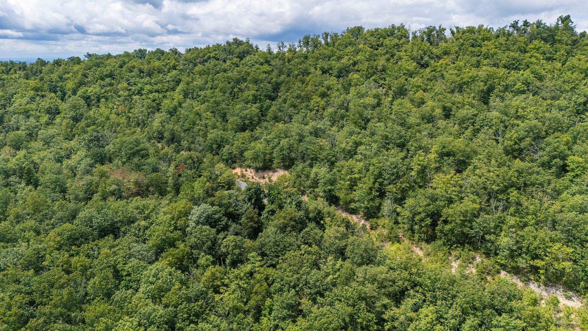 TBD FOX RUN LN, WAYNESBORO, Virginia 22980, ,Land,TBD FOX RUN LN,667893 MLS # 667893
