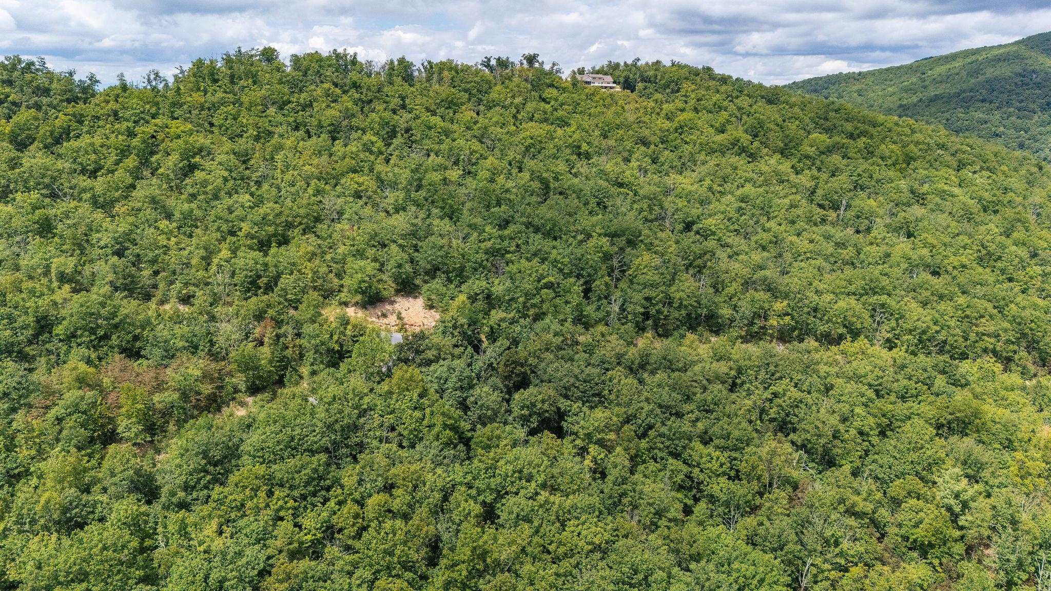 TBD FOX RUN LN, WAYNESBORO, Virginia 22980, ,Land,TBD FOX RUN LN,667893 MLS # 667893