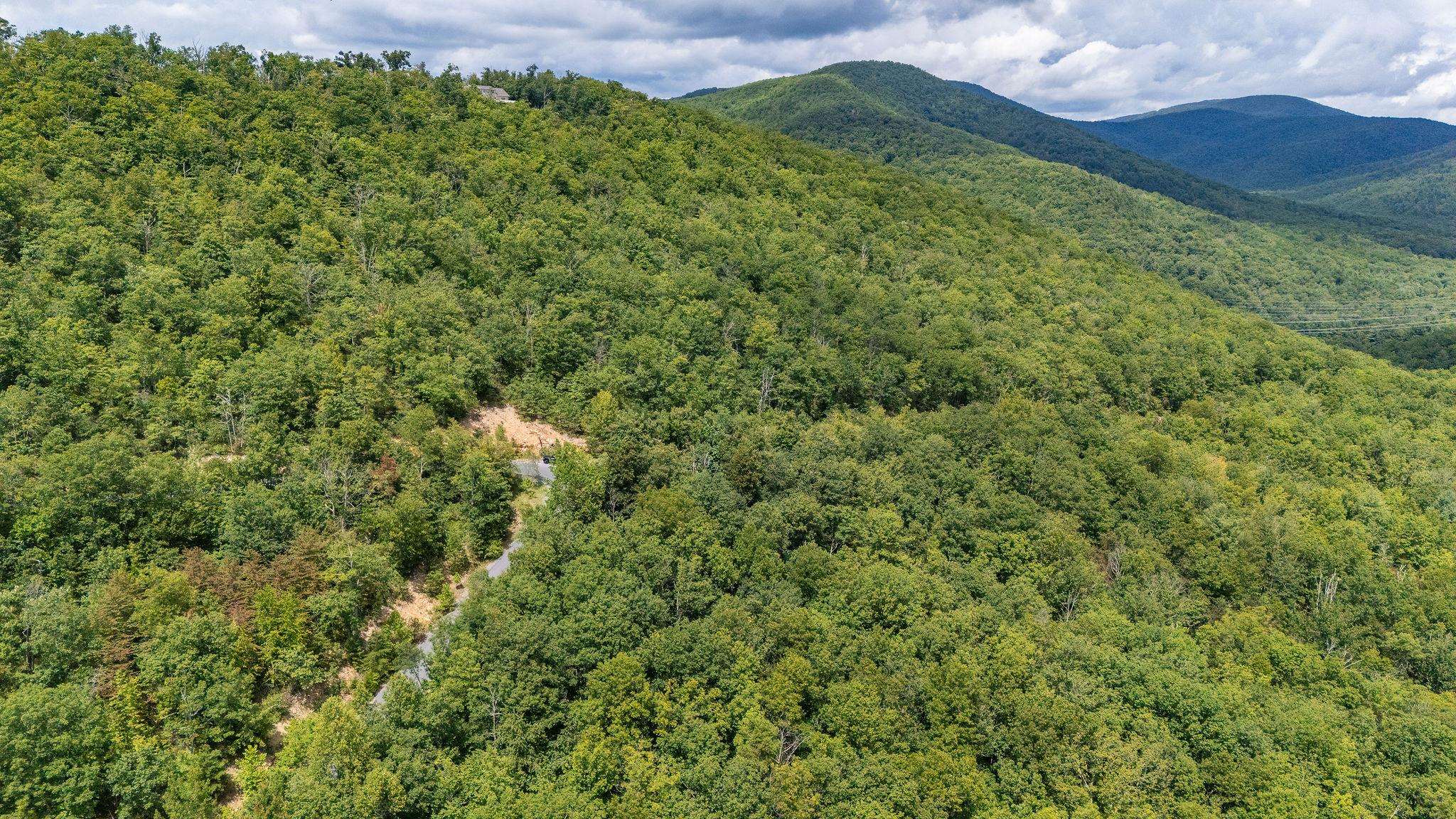 TBD FOX RUN LN, WAYNESBORO, Virginia 22980, ,Land,TBD FOX RUN LN,667893 MLS # 667893