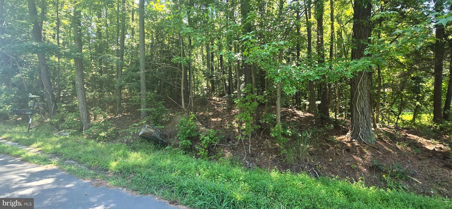 0 MONUMENT, MONTROSS, Virginia 22520, ,Land,For sale,0 MONUMENT,VAWE2009544 MLS # VAWE2009544