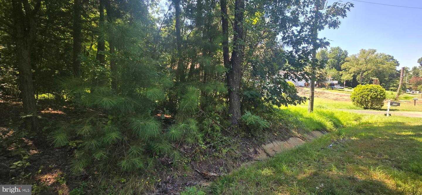 0 MONUMENT, MONTROSS, Virginia 22520, ,Land,For sale,0 MONUMENT,VAWE2009544 MLS # VAWE2009544