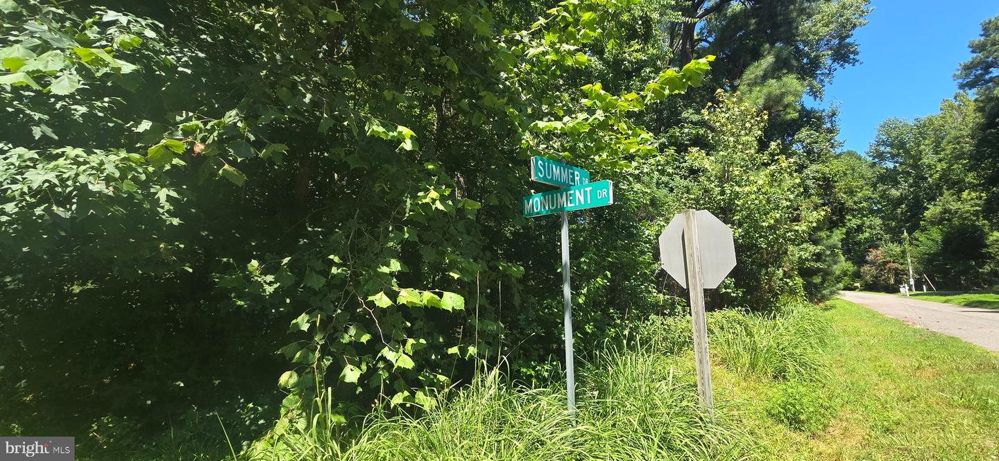 0 MONUMENT, MONTROSS, Virginia 22520, ,Land,For sale,0 MONUMENT,VAWE2009544 MLS # VAWE2009544