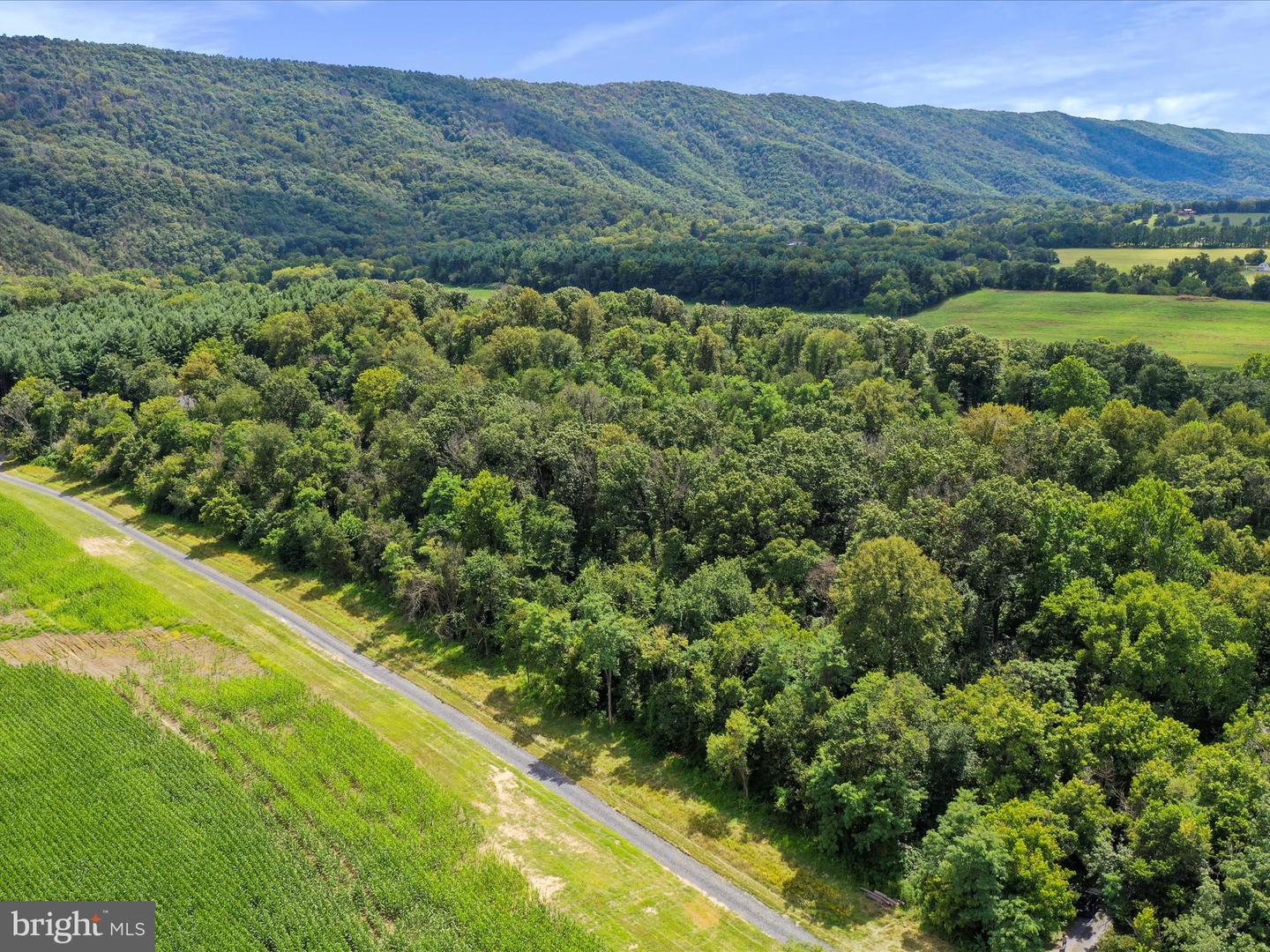 TBD SANDY HOOK RD, STRASBURG, Virginia 22657, ,Land,For sale,TBD SANDY HOOK RD,VASH2012240 MLS # VASH2012240