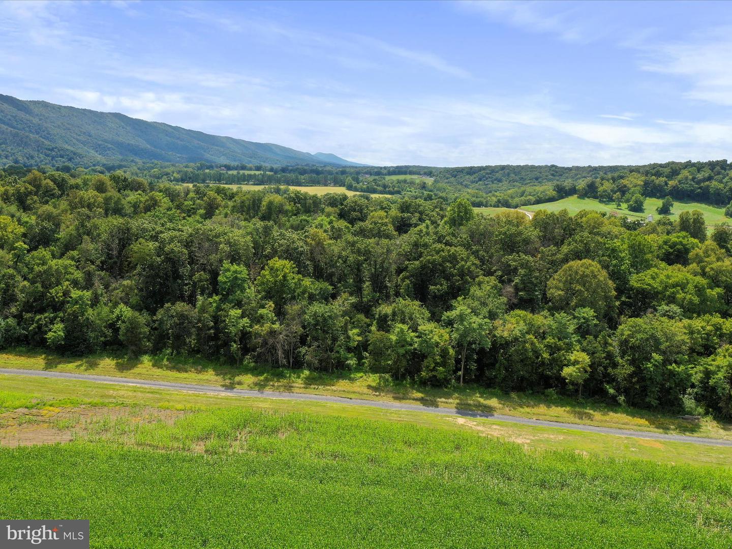 TBD SANDY HOOK RD, STRASBURG, Virginia 22657, ,Land,For sale,TBD SANDY HOOK RD,VASH2012240 MLS # VASH2012240