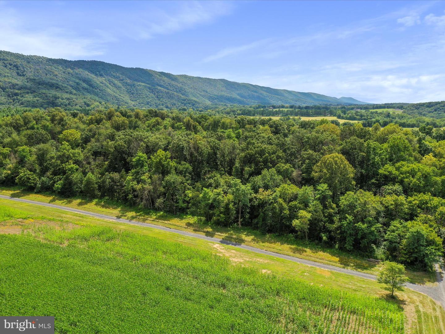 TBD SANDY HOOK RD, STRASBURG, Virginia 22657, ,Land,For sale,TBD SANDY HOOK RD,VASH2012240 MLS # VASH2012240