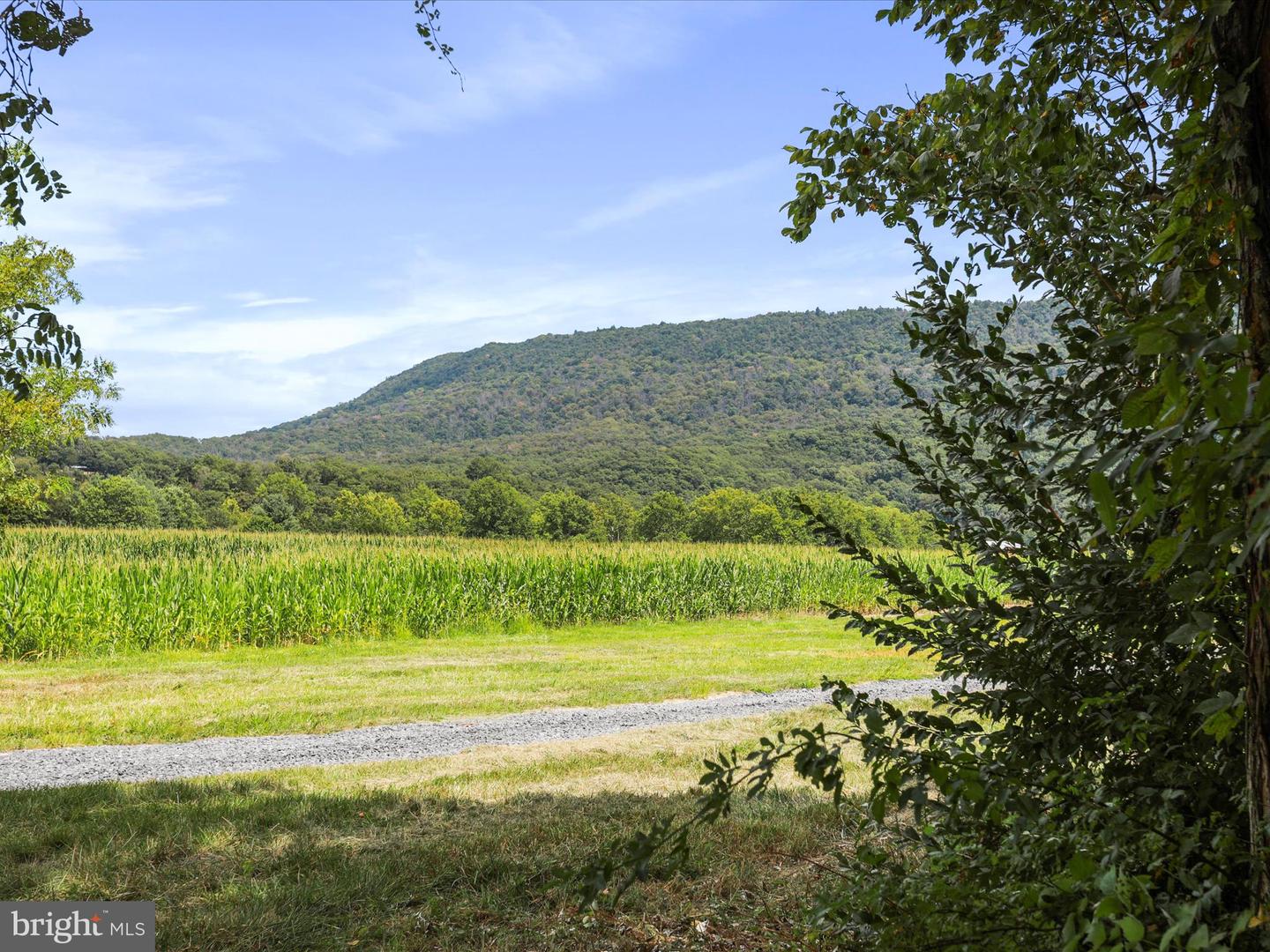 TBD SANDY HOOK RD, STRASBURG, Virginia 22657, ,Land,For sale,TBD SANDY HOOK RD,VASH2012240 MLS # VASH2012240
