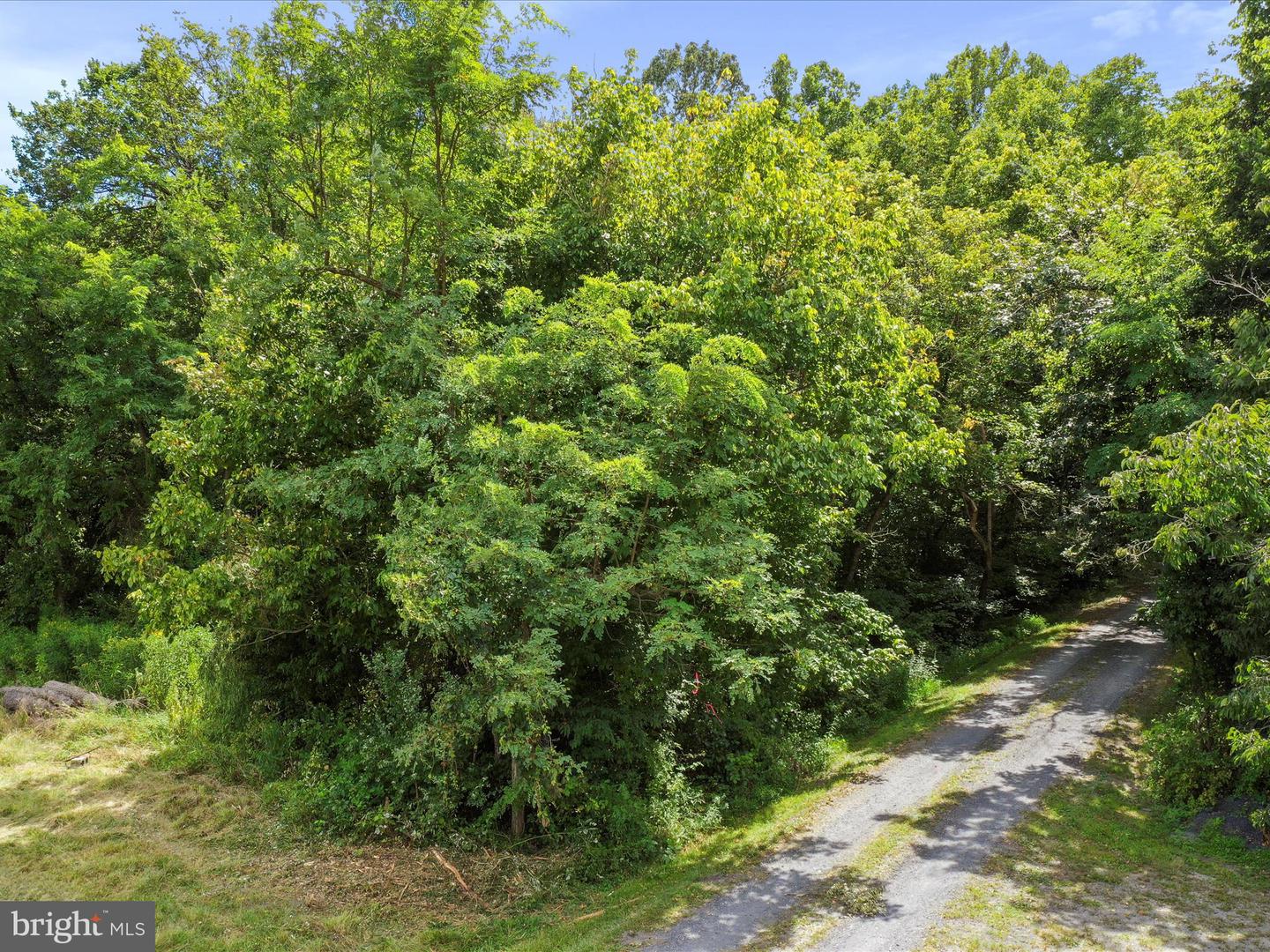 TBD SANDY HOOK RD, STRASBURG, Virginia 22657, ,Land,For sale,TBD SANDY HOOK RD,VASH2012240 MLS # VASH2012240