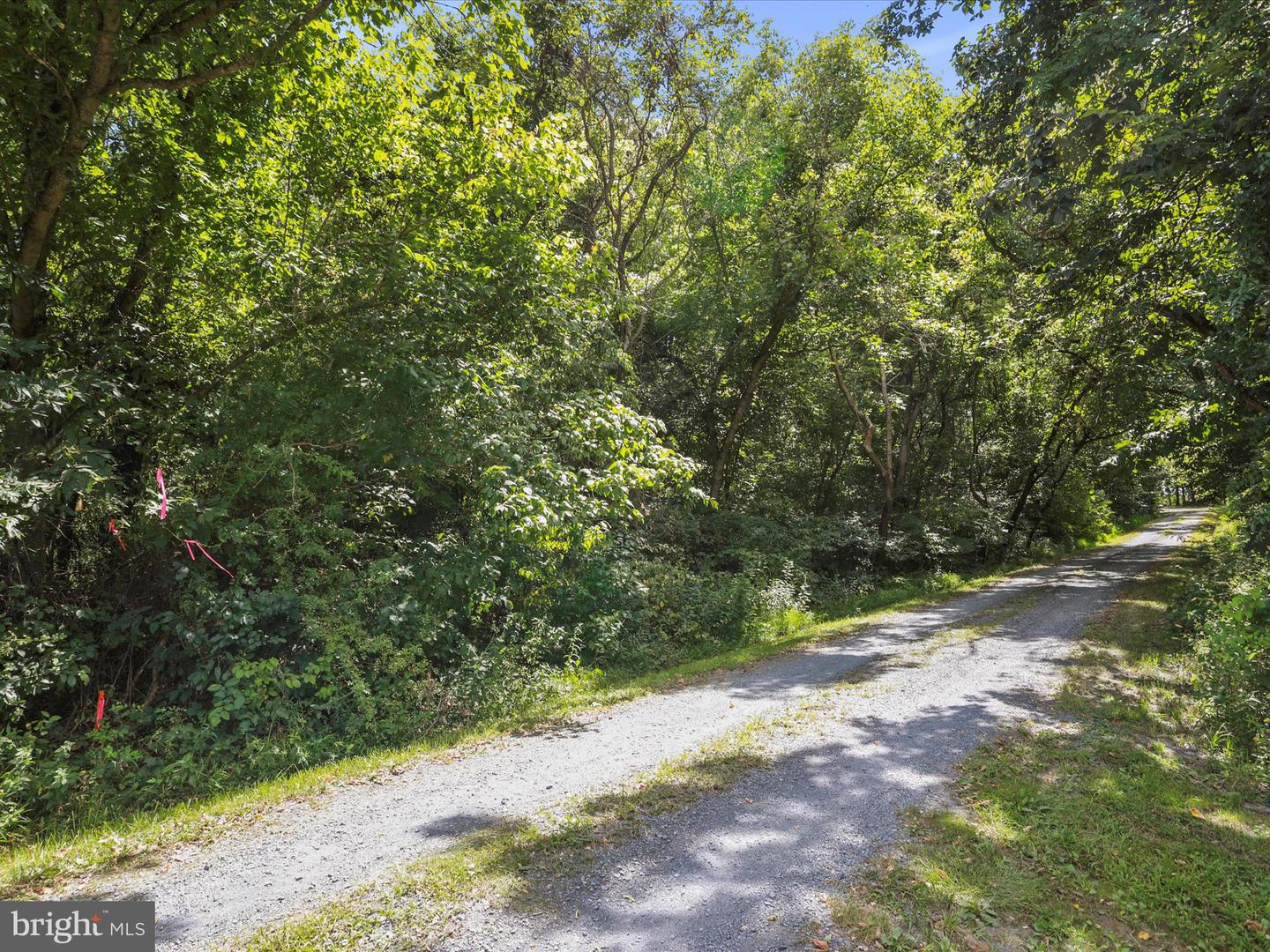 TBD SANDY HOOK RD, STRASBURG, Virginia 22657, ,Land,For sale,TBD SANDY HOOK RD,VASH2012240 MLS # VASH2012240