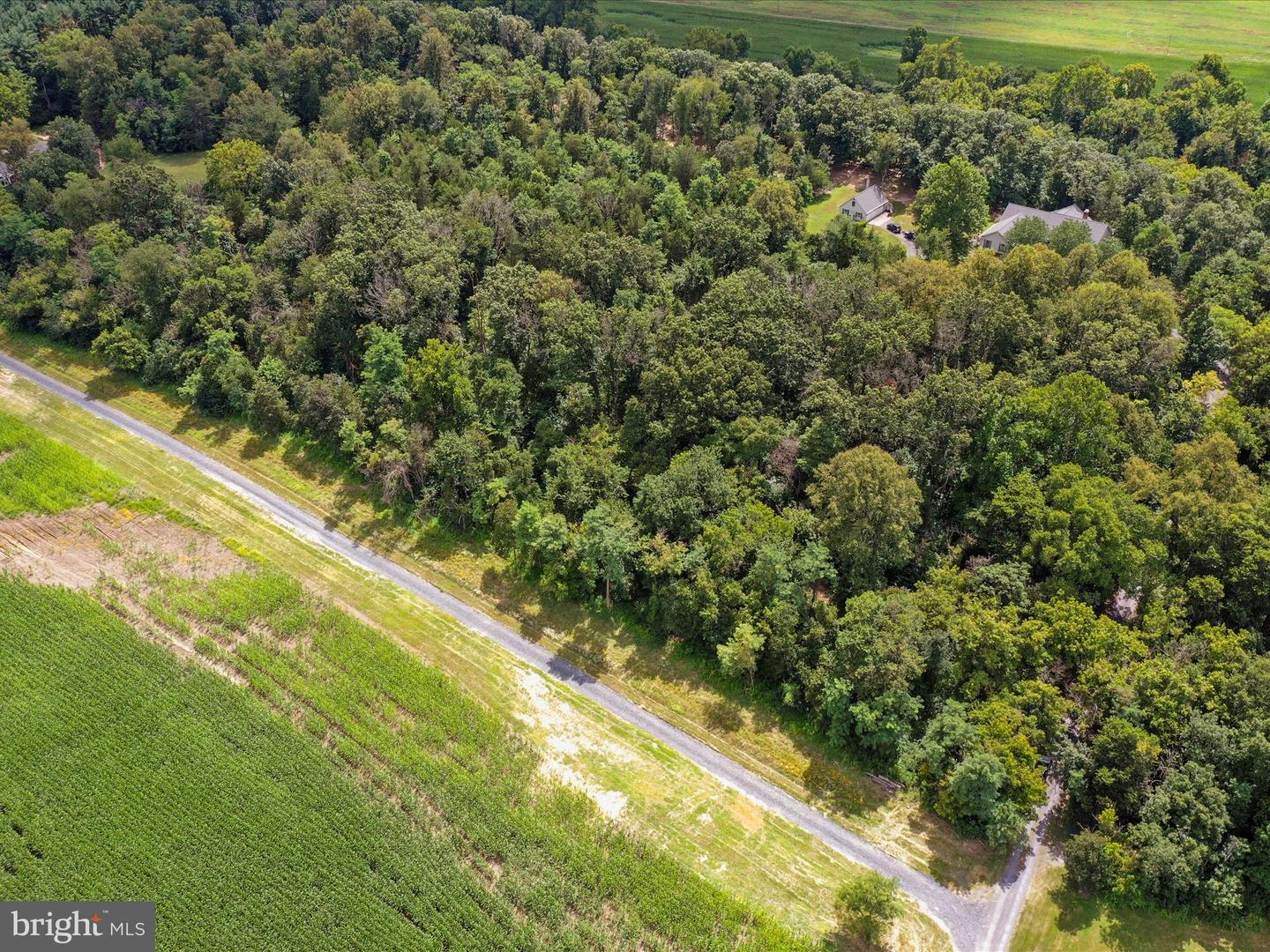 TBD SANDY HOOK RD, STRASBURG, Virginia 22657, ,Land,For sale,TBD SANDY HOOK RD,VASH2012240 MLS # VASH2012240