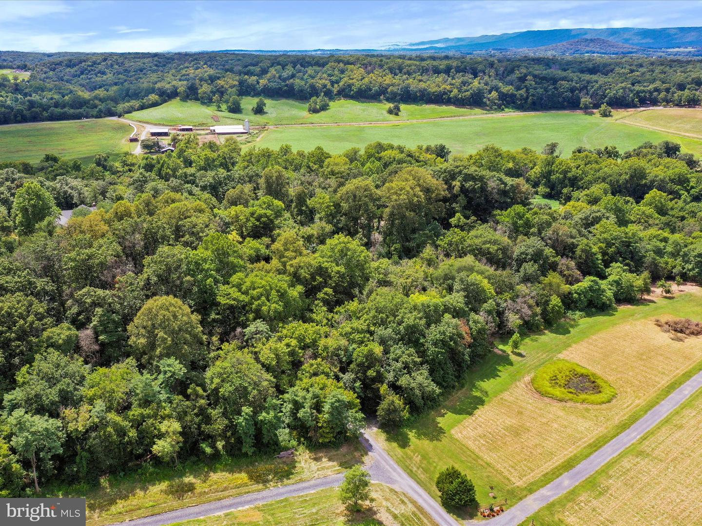 TBD SANDY HOOK RD, STRASBURG, Virginia 22657, ,Land,For sale,TBD SANDY HOOK RD,VASH2012246 MLS # VASH2012246