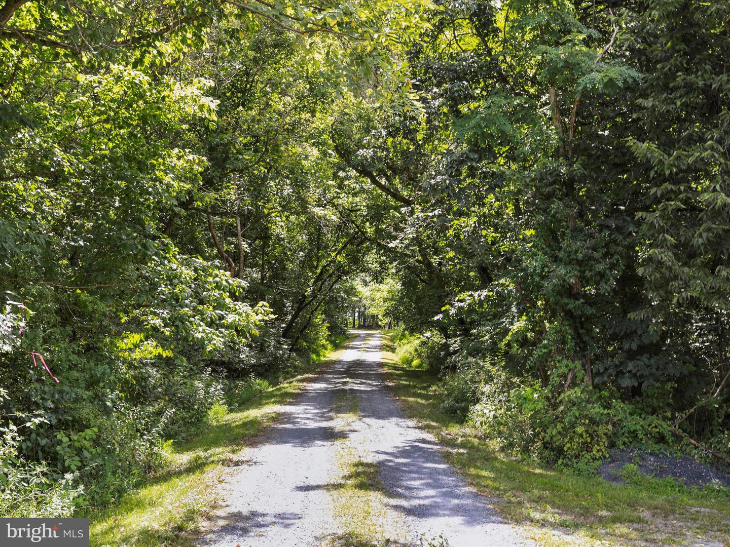 TBD SANDY HOOK RD, STRASBURG, Virginia 22657, ,Land,For sale,TBD SANDY HOOK RD,VASH2012246 MLS # VASH2012246