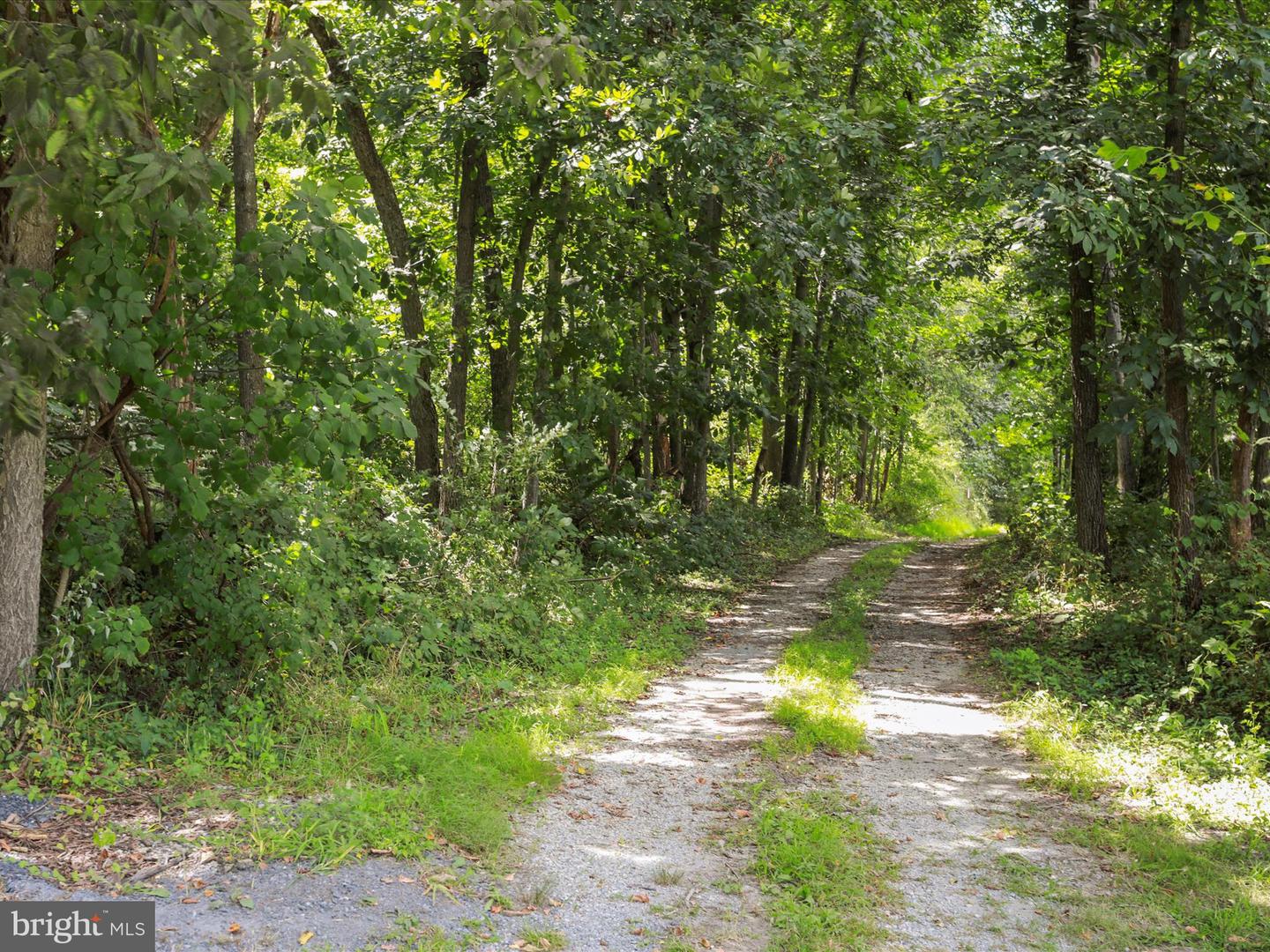 TBD SANDY HOOK RD, STRASBURG, Virginia 22657, ,Land,For sale,TBD SANDY HOOK RD,VASH2012246 MLS # VASH2012246