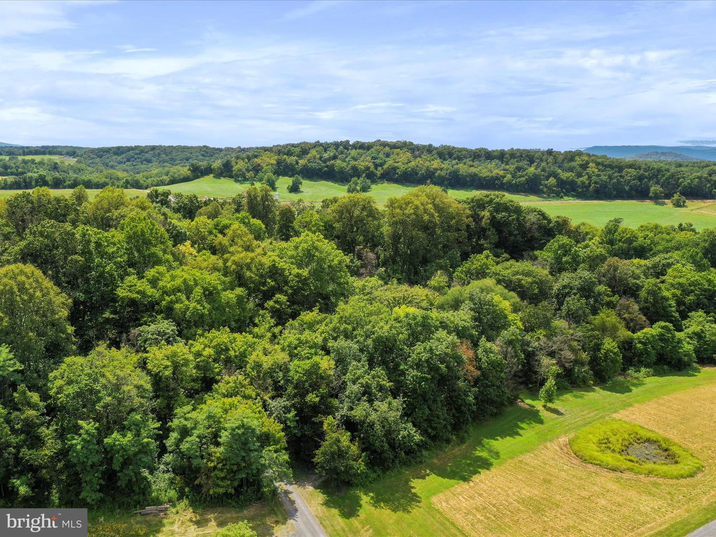 TBD SANDY HOOK RD, STRASBURG, Virginia 22657, ,Land,For sale,TBD SANDY HOOK RD,VASH2012246 MLS # VASH2012246