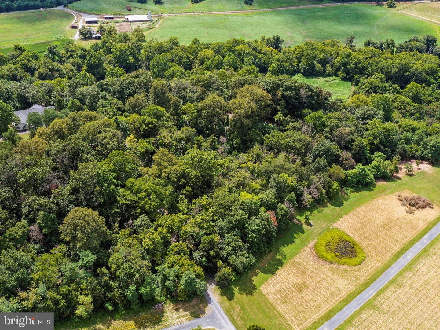 TBD SANDY HOOK RD, STRASBURG, Virginia 22657, ,Land,For sale,TBD SANDY HOOK RD,VASH2012246 MLS # VASH2012246