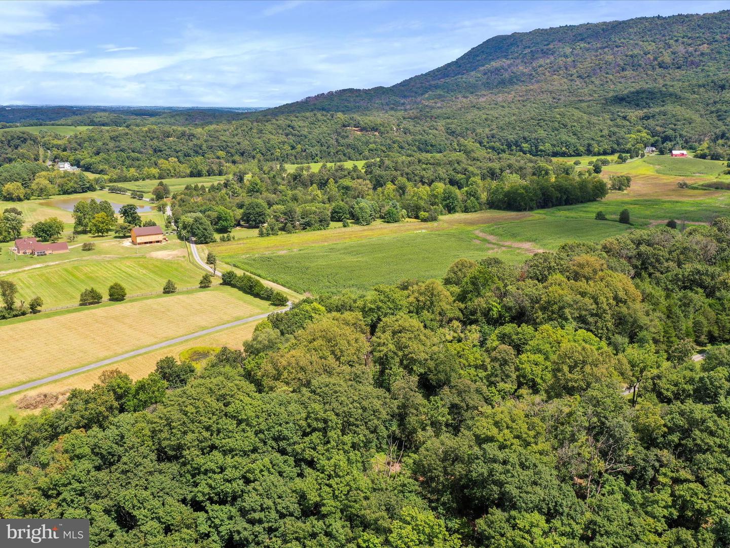 TBD SANDY HOOK RD, STRASBURG, Virginia 22657, ,Land,For sale,TBD SANDY HOOK RD,VASH2012246 MLS # VASH2012246