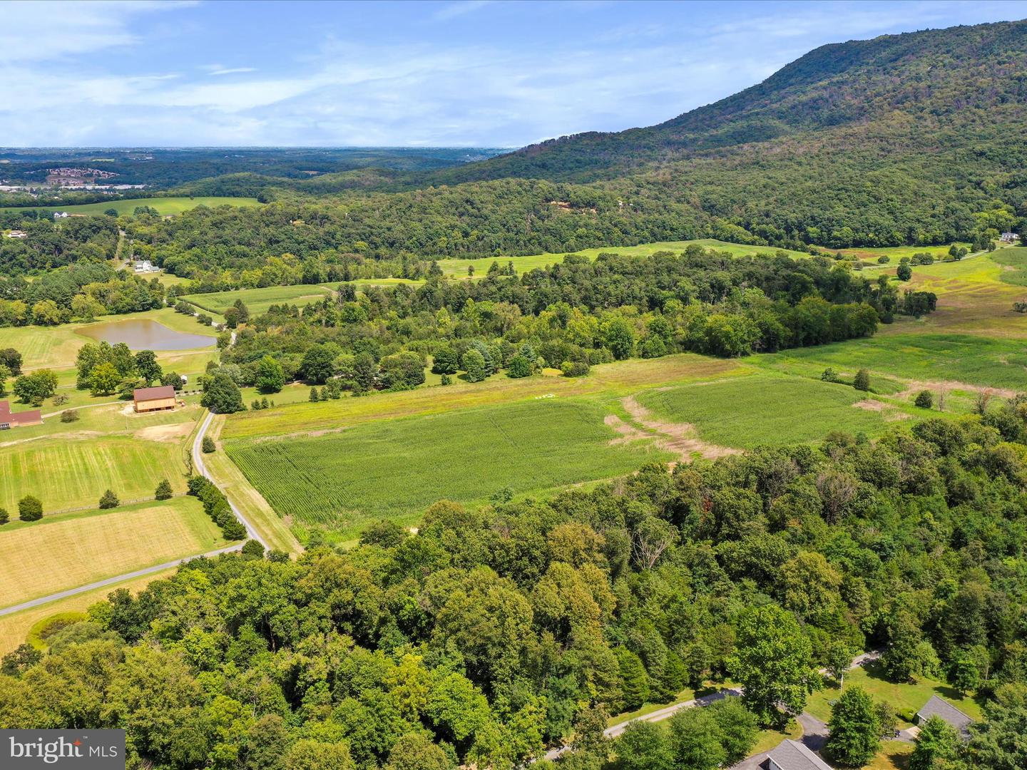 TBD SANDY HOOK RD, STRASBURG, Virginia 22657, ,Land,For sale,TBD SANDY HOOK RD,VASH2012246 MLS # VASH2012246