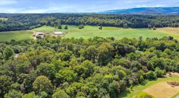 TBD SANDY HOOK RD, STRASBURG, Virginia 22657, ,Land,For sale,TBD SANDY HOOK RD,VASH2012246 MLS # VASH2012246