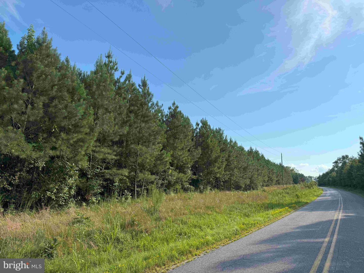 BLACK CREEK ROAD (TRACT: CHESAPEAKE SURRY GRIFFIN), FRANKLIN, Virginia 23851, ,Farm,For sale,BLACK CREEK ROAD (TRACT: CHESAPEAKE SURRY GRIFFIN),VASU2000026 MLS # VASU2000026