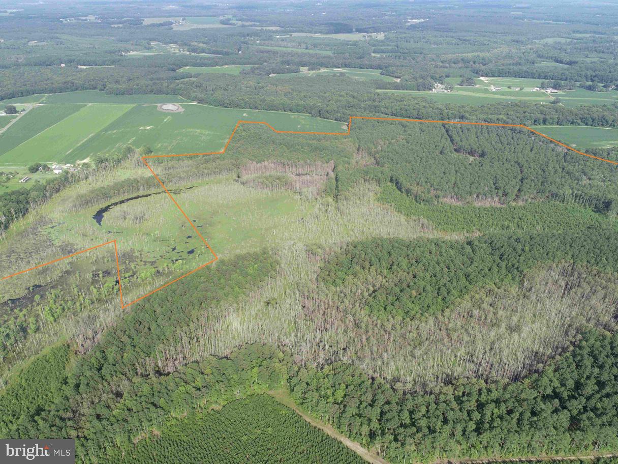 BLACK CREEK ROAD (TRACT: CHESAPEAKE SURRY GRIFFIN), FRANKLIN, Virginia 23851, ,Farm,For sale,BLACK CREEK ROAD (TRACT: CHESAPEAKE SURRY GRIFFIN),VASU2000026 MLS # VASU2000026