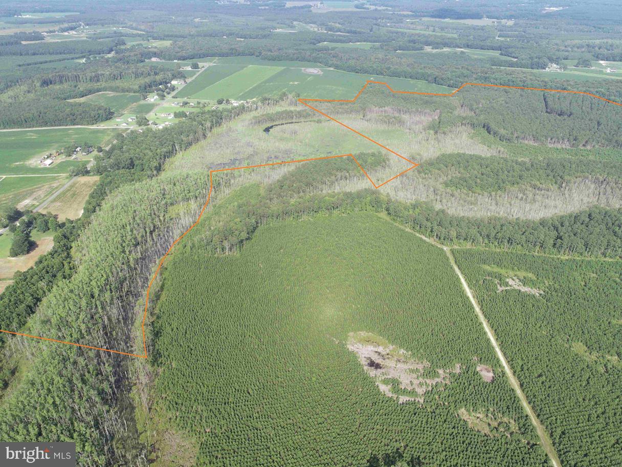 BLACK CREEK ROAD (TRACT: CHESAPEAKE SURRY GRIFFIN), FRANKLIN, Virginia 23851, ,Farm,For sale,BLACK CREEK ROAD (TRACT: CHESAPEAKE SURRY GRIFFIN),VASU2000026 MLS # VASU2000026