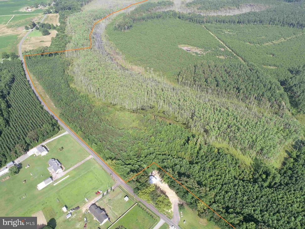 BLACK CREEK ROAD (TRACT: CHESAPEAKE SURRY GRIFFIN), FRANKLIN, Virginia 23851, ,Farm,For sale,BLACK CREEK ROAD (TRACT: CHESAPEAKE SURRY GRIFFIN),VASU2000026 MLS # VASU2000026