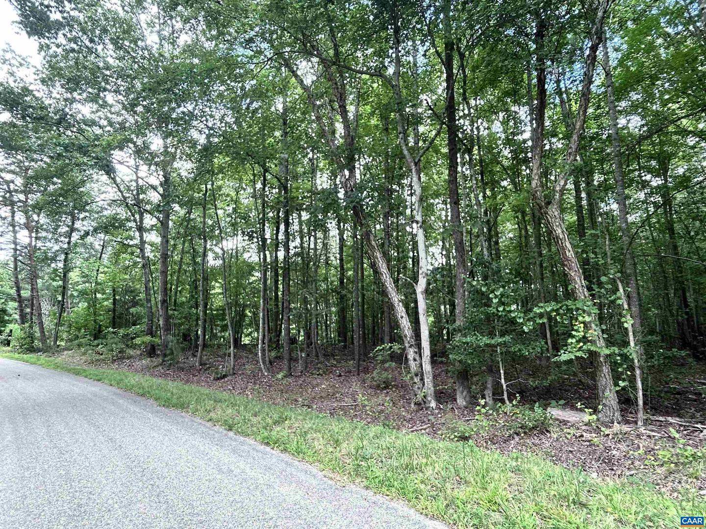 TBD OLD SHORE RD, BLACKSTONE, Virginia 23824, ,Land,For sale,TBD OLD SHORE RD,667894 MLS # 667894