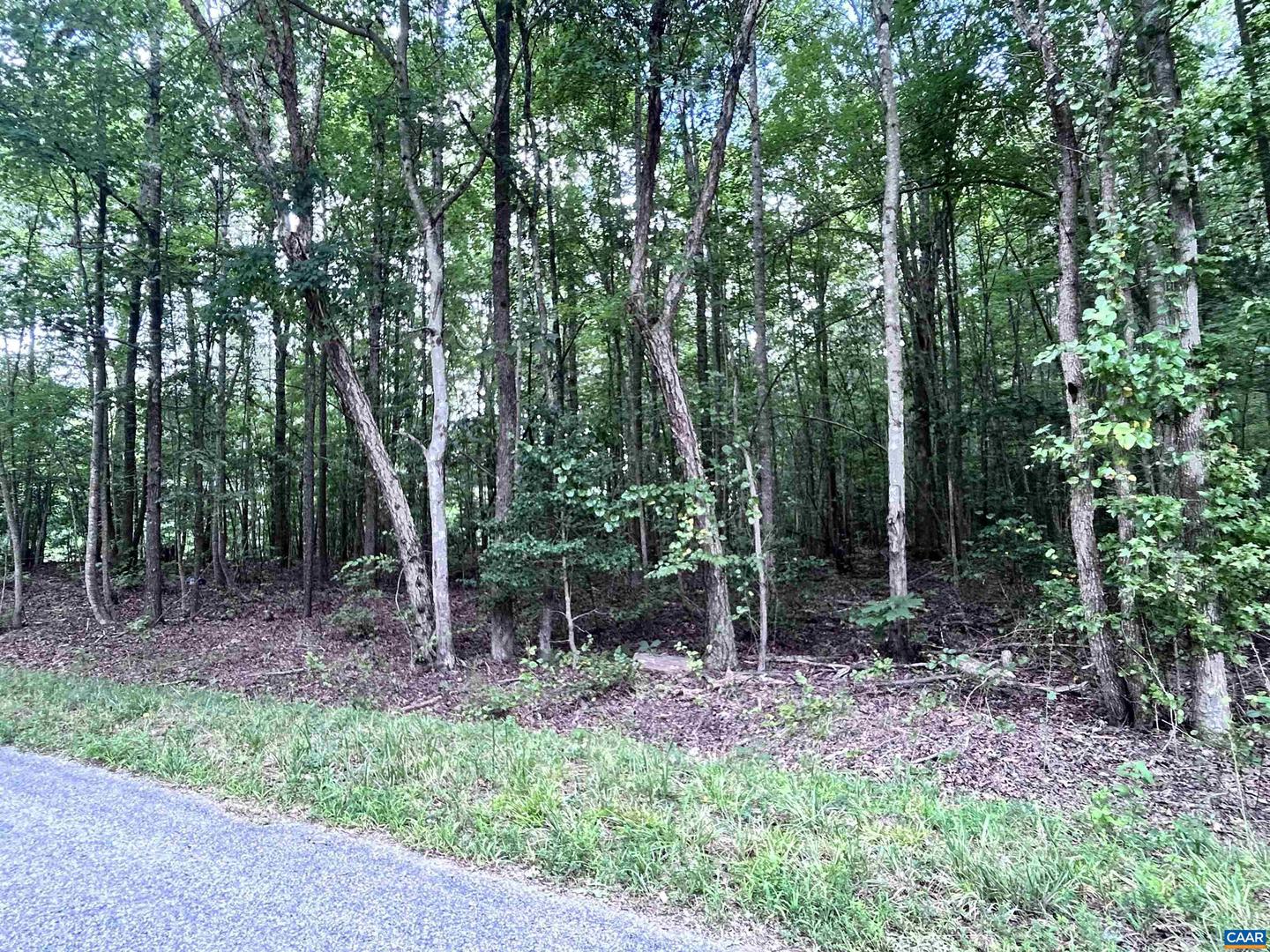 TBD OLD SHORE RD, BLACKSTONE, Virginia 23824, ,Land,For sale,TBD OLD SHORE RD,667894 MLS # 667894