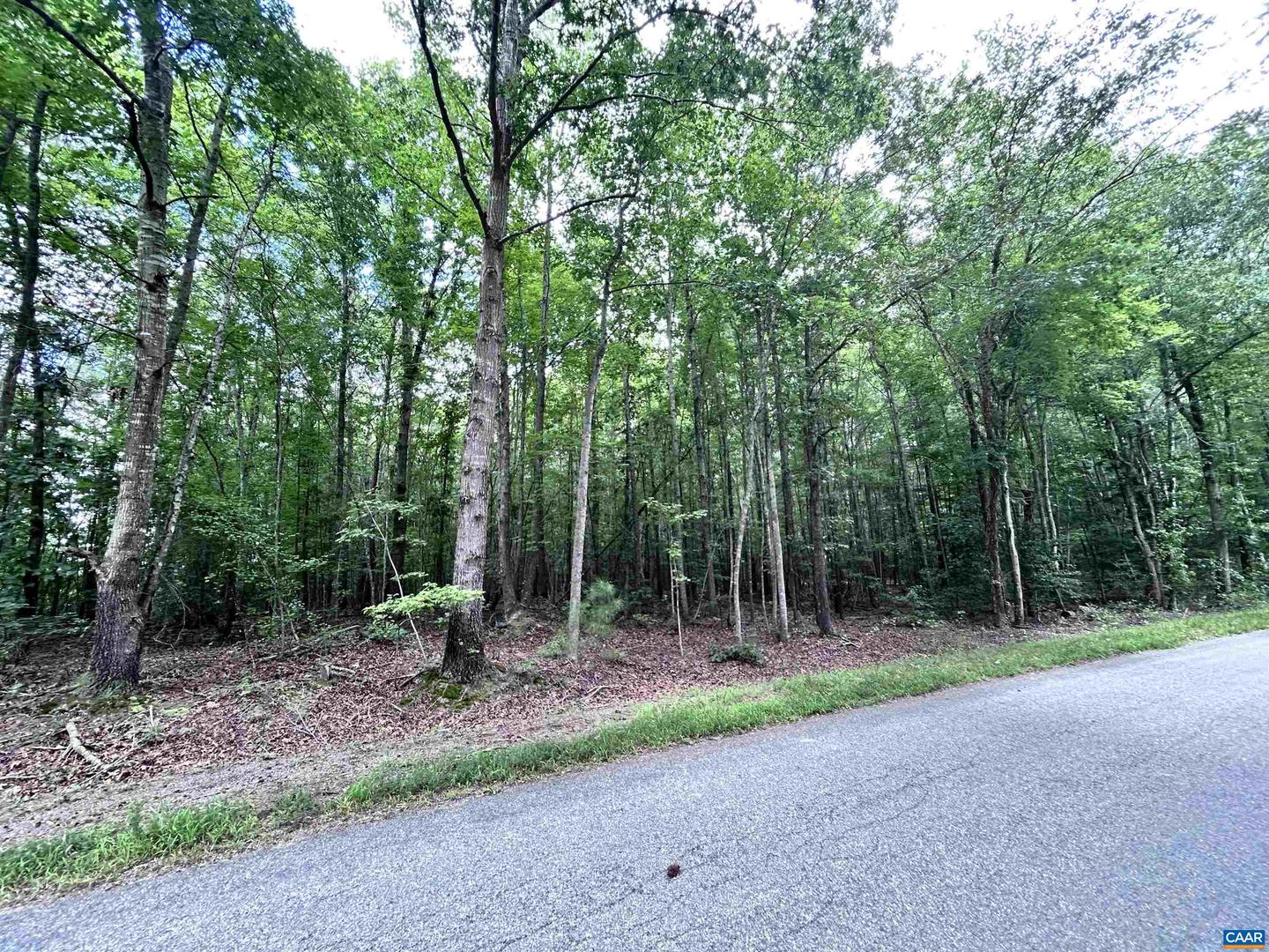 TBD OLD SHORE RD, BLACKSTONE, Virginia 23824, ,Land,For sale,TBD OLD SHORE RD,667894 MLS # 667894