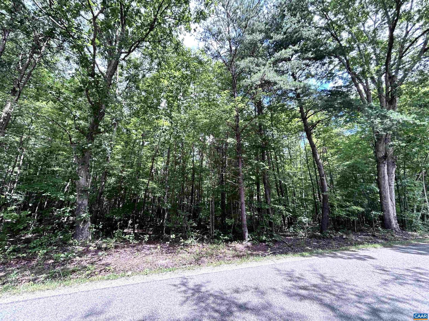 TBD OLD SHORE RD, BLACKSTONE, Virginia 23824, ,Land,For sale,TBD OLD SHORE RD,667894 MLS # 667894