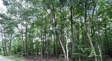 TBD OLD SHORE RD, BLACKSTONE, Virginia 23824, ,Land,For sale,TBD OLD SHORE RD,667894 MLS # 667894