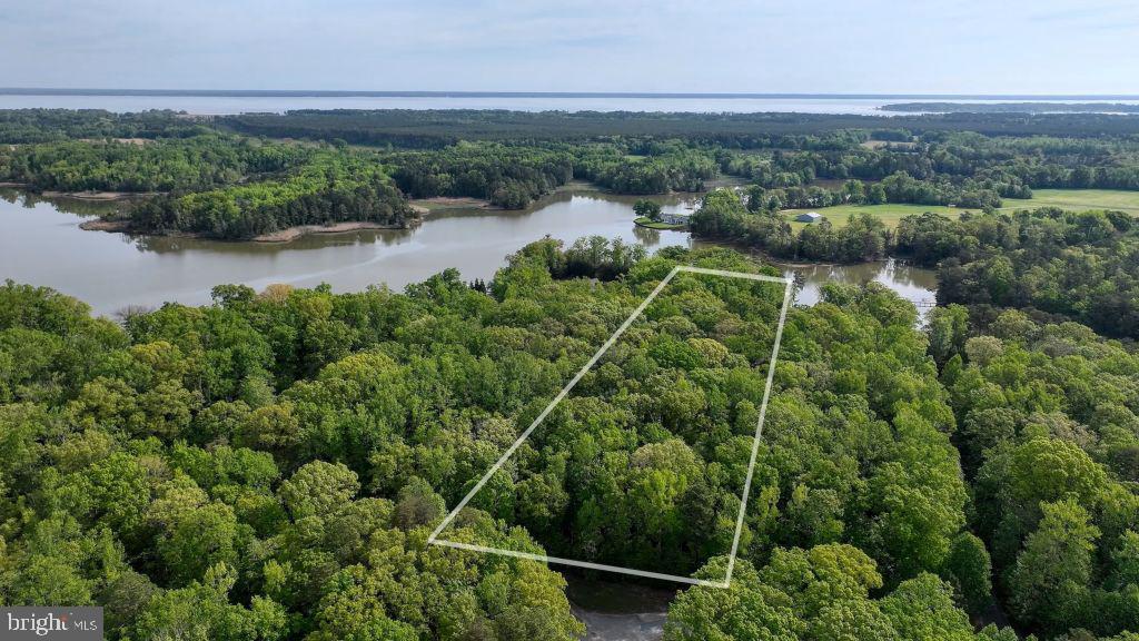 55 BUCKNER CREEK RD, MONTROSS, Virginia 22520, ,Land,For sale,55 BUCKNER CREEK RD,VAWE2009572 MLS # VAWE2009572