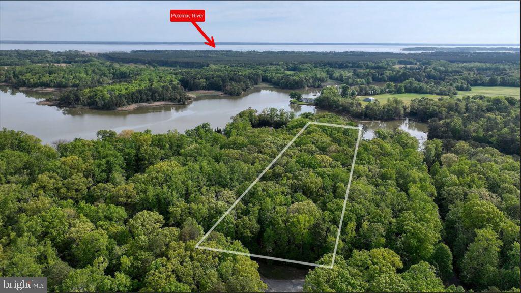 55 BUCKNER CREEK RD, MONTROSS, Virginia 22520, ,Land,For sale,55 BUCKNER CREEK RD,VAWE2009572 MLS # VAWE2009572